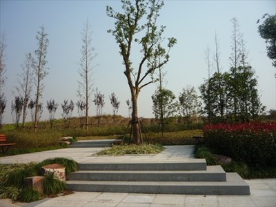 上塘河綜合保護與開發(fā)工程(繞城公路-天都城)景觀綠化工程02標(biāo)