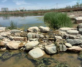 蘭州園林景觀工程預計年底全面完工，城市顏值再提升